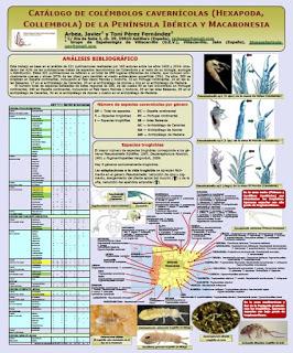 Colémbolos cavernícolas de la Península Ibérica y Macaronesia
