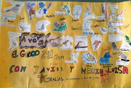 Casi cinco mil escolares ven 125 especies de aves en 150 parques Casi cinco mil escolares ven 125 especies de aves en 150 parques
