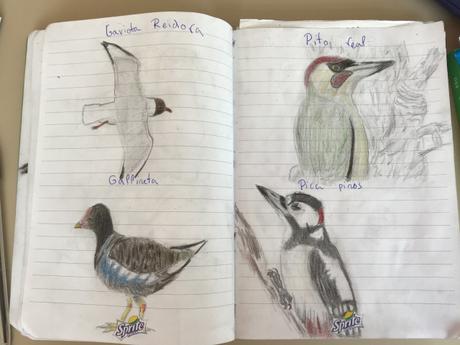 Casi cinco mil escolares ven 125 especies de aves en 150 parques Casi cinco mil escolares ven 125 especies de aves en 150 parques