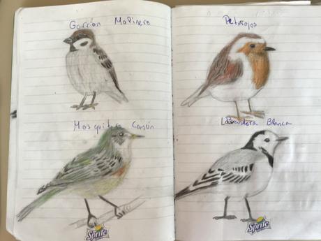 Casi cinco mil escolares ven 125 especies de aves en 150 parques Casi cinco mil escolares ven 125 especies de aves en 150 parques