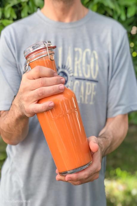 Salmorejo Sin Pan. Receta con Thermomix Salmorejo Sin Pan. Receta con Thermomix