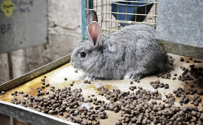 IMPULSA GEM AGRICULTURA SUSTENTABLE PARA LA CONSERVACIÓN DE LOS SUELOS