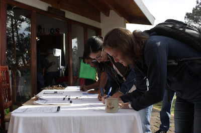 TRABAJAN MÉXICO Y ESTADOS UNIDOS PLAN MAESTRO 2019-2020 PARA EL MANEJO Y CONSERVACIÓN DEL LOBO GRIS MEXICANO TRABAJAN MÉXICO Y ESTADOS UNIDOS PLAN MAESTRO 2019-2020 PARA EL MANEJO Y CONSERVACIÓN DEL LOBO GRIS MEXICANO