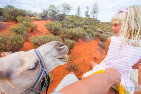 uluru-sunset-camel-tour-5 ▷ Comente 15 consejos para mantener a los niños seguros cuando viajan en un viaje Cómo viajar seguro con un bebé