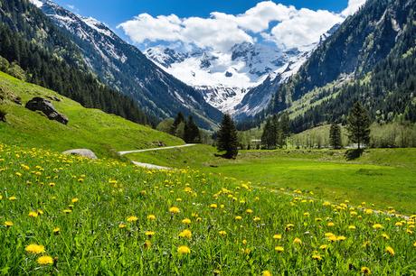 ▷ 9 regiones más bellas de Austria tyrol ▷ 9 regiones más bellas de Austria