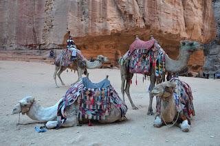 El Reino de Jordania, con el sueño de Petra  (3d/2n). Enero 2015