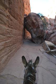El Reino de Jordania, con el sueño de Petra  (3d/2n). Enero 2015