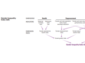 ¿Por Arabia Saudí ocupa puesto 160) Índice Desigualdad Género?