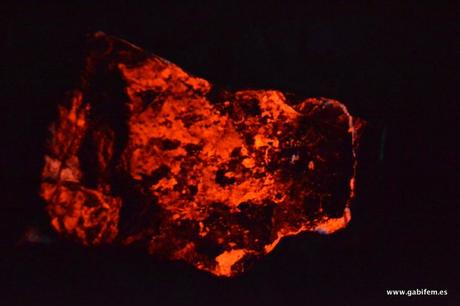 Ruta Negra Ruta Negra