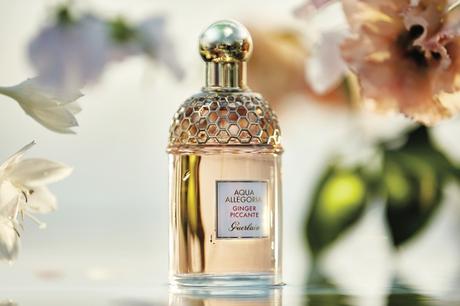 Guerlain Renueva su Colección Aqua Allegoria con Tres Nuevas Fragancias Guerlain Renueva su Colección Aqua Allegoria con Tres Nuevas Fragancias