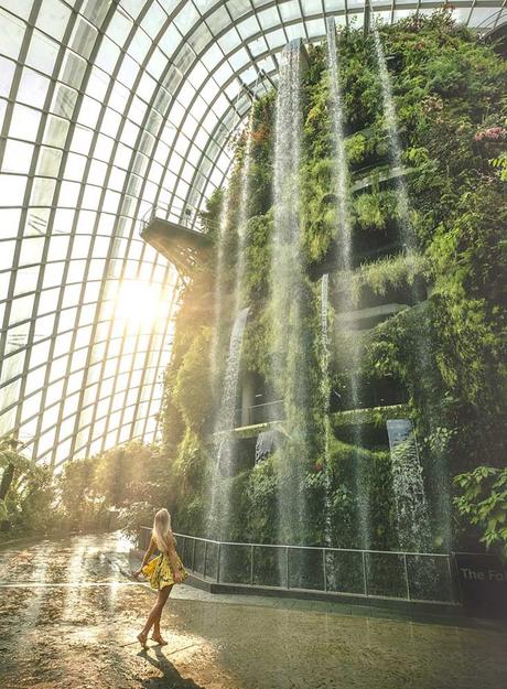 ▷ Obtenga su título en el extranjero en un programa de habla inglesa singapore-waterfall ▷ Obtenga su título en el extranjero en un programa de habla inglesa