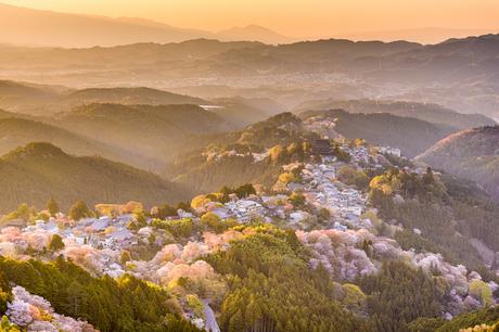 kansai ▷ 9 regiones más bonitas de Japón