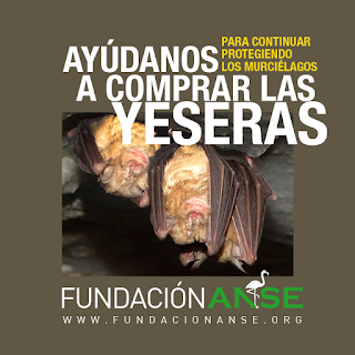 NOSOTROS HEMOS COLABORADO, ¿Y TÚ? APOYA ESTA GRAN INICIATIVA NOSOTROS HEMOS COLABORADO, ¿Y TÚ? APOYA ESTA GRAN INICIATIVA