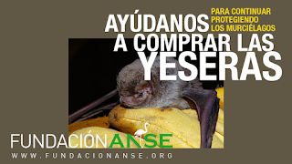 NOSOTROS HEMOS COLABORADO, ¿Y TÚ? APOYA ESTA GRAN INICIATIVA NOSOTROS HEMOS COLABORADO, ¿Y TÚ? APOYA ESTA GRAN INICIATIVA