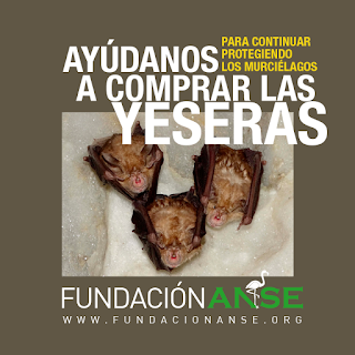 NOSOTROS HEMOS COLABORADO, ¿Y TÚ? APOYA ESTA GRAN INICIATIVA NOSOTROS HEMOS COLABORADO, ¿Y TÚ? APOYA ESTA GRAN INICIATIVA