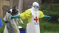 La OMS declara al Ebola como una Emergencia Internacional
