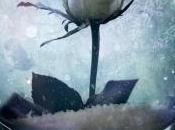 Canción invierno, Jae-Jones