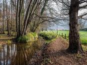 Juntos hasta final