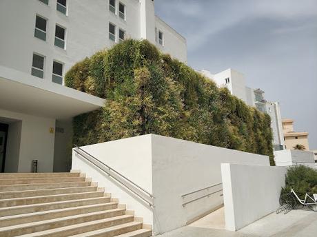 Estado actual del jardín vertical del hotel HM Tropical 