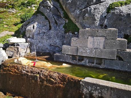 Canalón Oscuro, Palazana, Prau Albo y Fariñentu Canalón Oscuro, Palazana, Prau Albo y Fariñentu