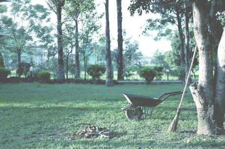 limpieza de terrenos