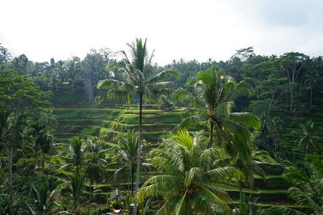 viaje de novios a bali