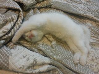 Cómo eliminar malos hábitos Cómo eliminar malos hábitos