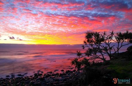 ▷ Comente por qué creemos que la Costa Dorada es EL mejor lugar para vivir en Australia. Lo que debe saber al mudarse a la Costa Dorada de Australia – Tourism Tattler IMG_6856 ▷ Comente por qué creemos que la Costa Dorada es EL mejor lugar para vivir en Australia. Lo que debe saber al mudarse a la Costa Dorada de Australia - Tourism Tattler