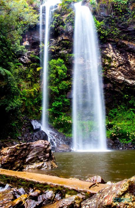 ▷ Comente por qué creemos que la Costa Dorada es EL mejor lugar para vivir en Australia. Lo que debe saber al mudarse a la Costa Dorada de Australia – Tourism Tattler Gold-Coast-Hinterland-Queensland-16 ▷ Comente por qué creemos que la Costa Dorada es EL mejor lugar para vivir en Australia. Lo que debe saber al mudarse a la Costa Dorada de Australia - Tourism Tattler