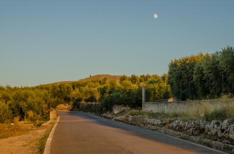 DSC_0778 ▷ Por qué me encanta viajar a Puglia, Italia