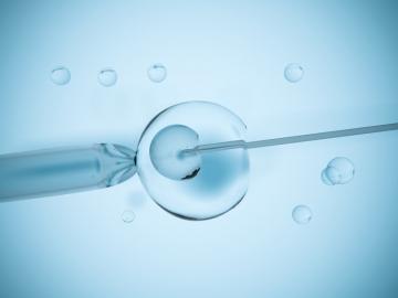 ¿Qué tratamientos de fertilidad existen?