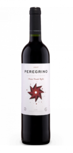 Peregrino Roble 2017
