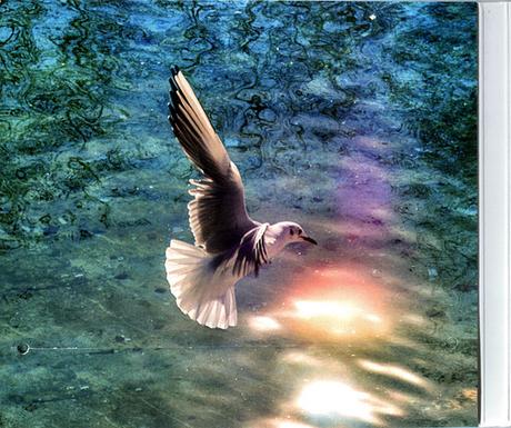 On the Raw - Climbing the Air (2019) On the Raw - Climbing the Air (2019)