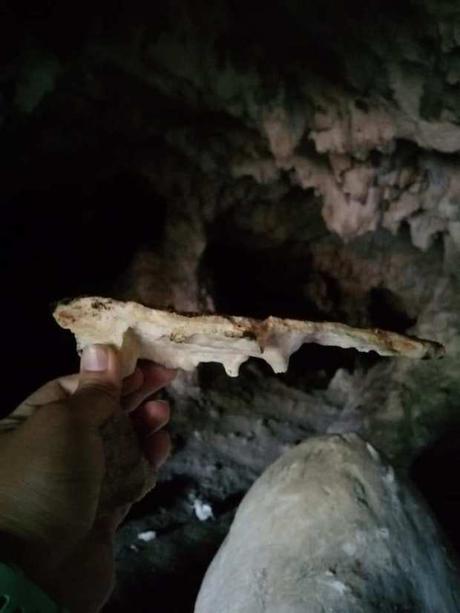 Dañan la Cueva del Caballo en Sierra de Álvarez