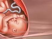 semanas embarazo Sexto