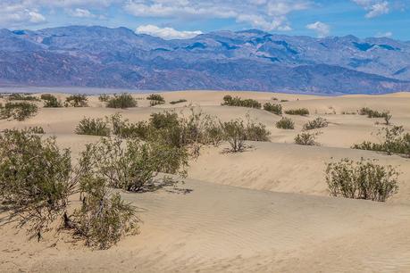 ▷ 9 cosas increíbles para hacer en el Parque Nacional Death Valley (para visitantes por primera vez) mesquite-sand-dunes-death-valley-national-park-california-2 ▷ 9 cosas increíbles para hacer en el Parque Nacional Death Valley (para visitantes por primera vez)