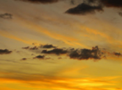 Desde ciudad cines cumple década