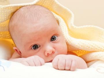 Las seis fontanelas del cráneo del bebé Las seis fontanelas del cráneo del bebé