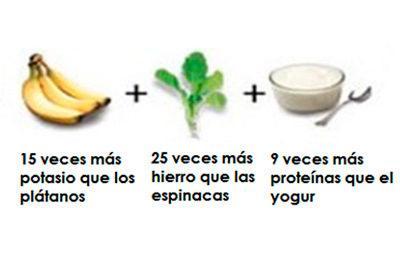 moringa-que-es-composicion-propiedades