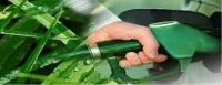 Clasificación de Biocombustibles por el Tipo de Materia Prima