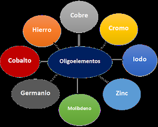 Tabla periódica y vida. Conceptos básicos de bioquímica
