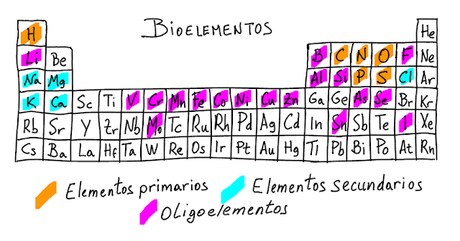 Tabla periódica y vida. Conceptos básicos de bioquímica