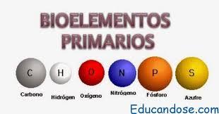 Tabla periódica y vida. Conceptos básicos de bioquímica
