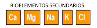 Tabla periódica y vida. Conceptos básicos de bioquímica