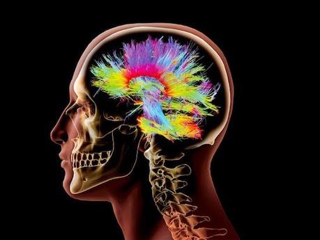 Cómo la transformación digital cambia nuestro cerebro y nuestra mente