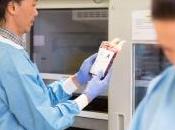 Células madre embrionarias