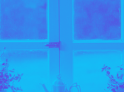 Ventanas