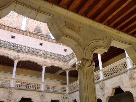 La casa de las conchas/貝の家