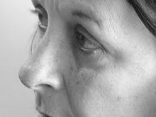 Comentario a 'El manuscrito de los desterrados' de Nora Bruccoleri