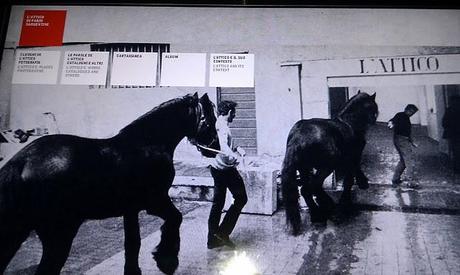 MACRO: Exposiciones temporales